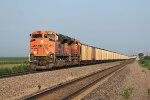 BNSF C Train 8444 East